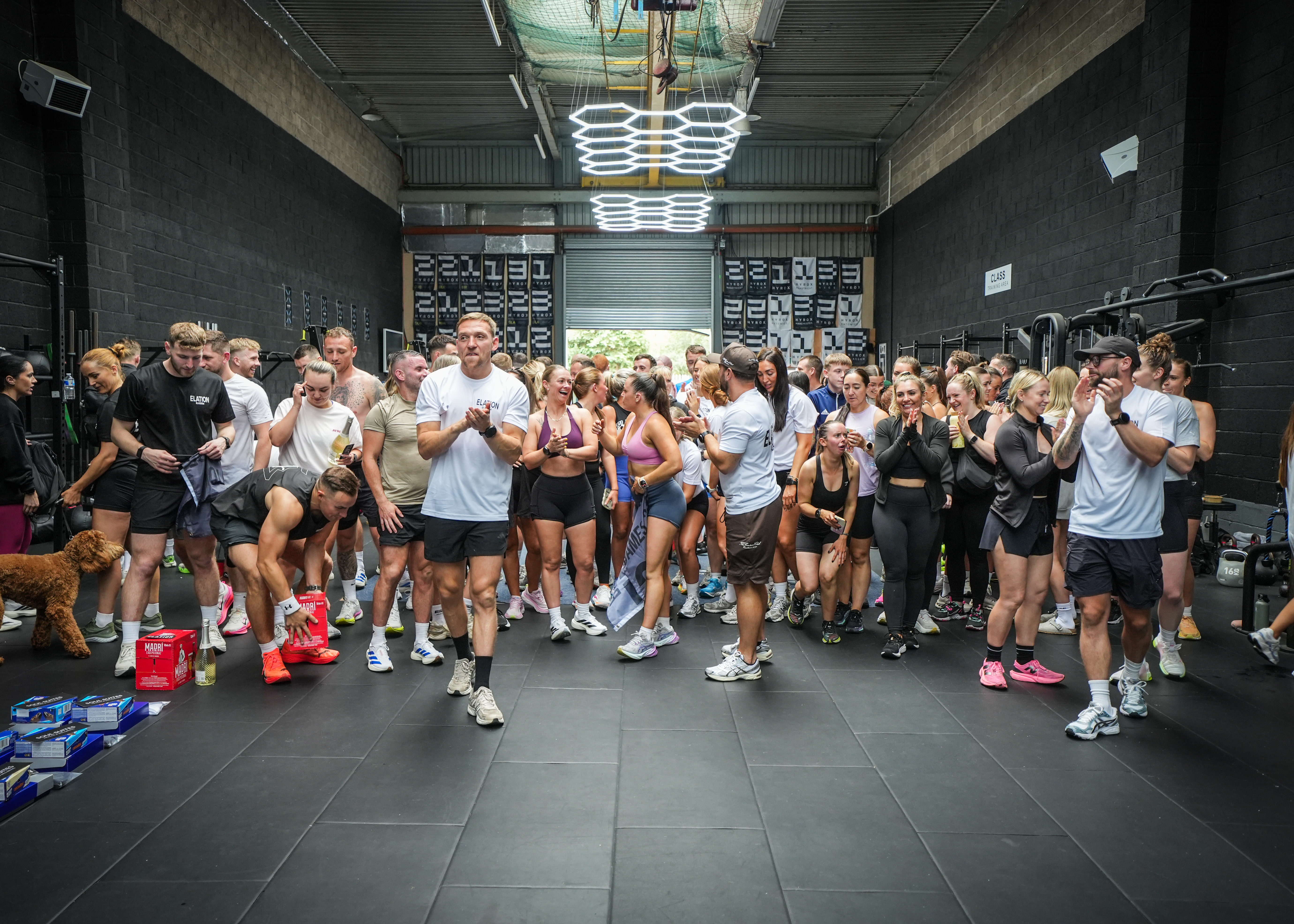 Elation Fitness